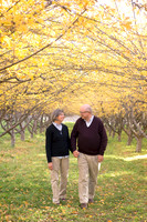 fall_4