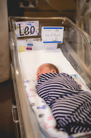 NFP_Leohospital-1