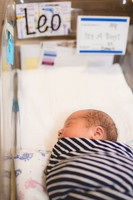 NFP_Leohospital-4