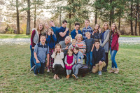 NFP_Feltfam2016-12