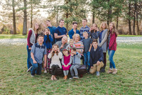 NFP_Feltfam2016-11