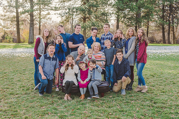 NFP_Feltfam2016-11